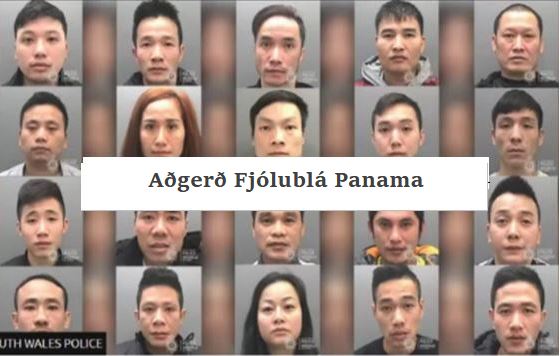 Operation Violet Panama